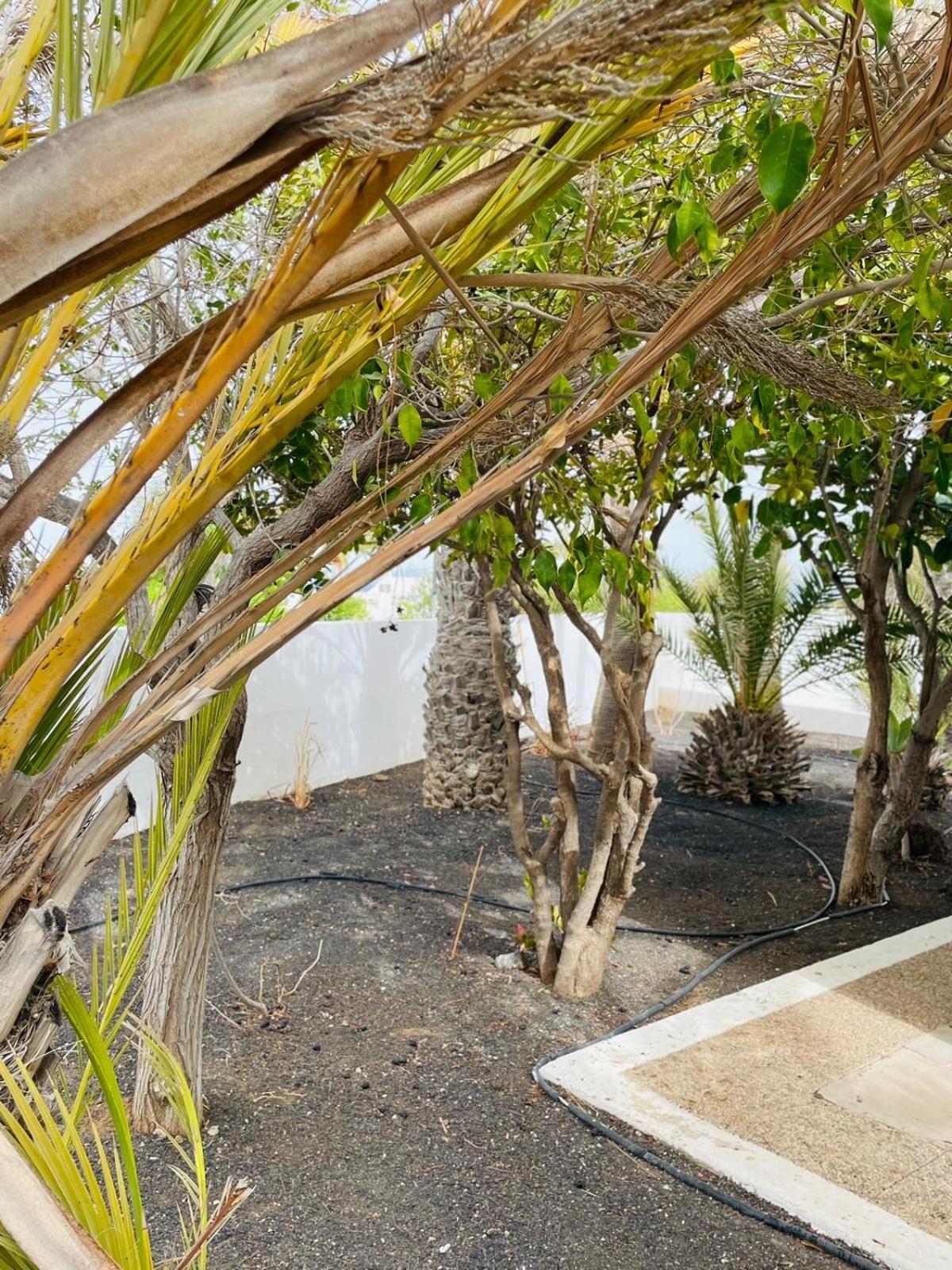 Villa Rosa بويرتو ذيل كارمين المظهر الخارجي الصورة